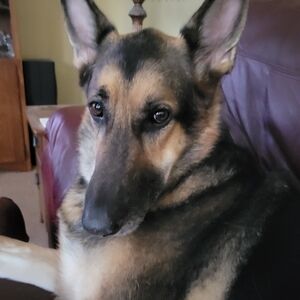 Meet your Posher, Candy